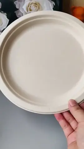 50pcs. Disposable Plate 9-10