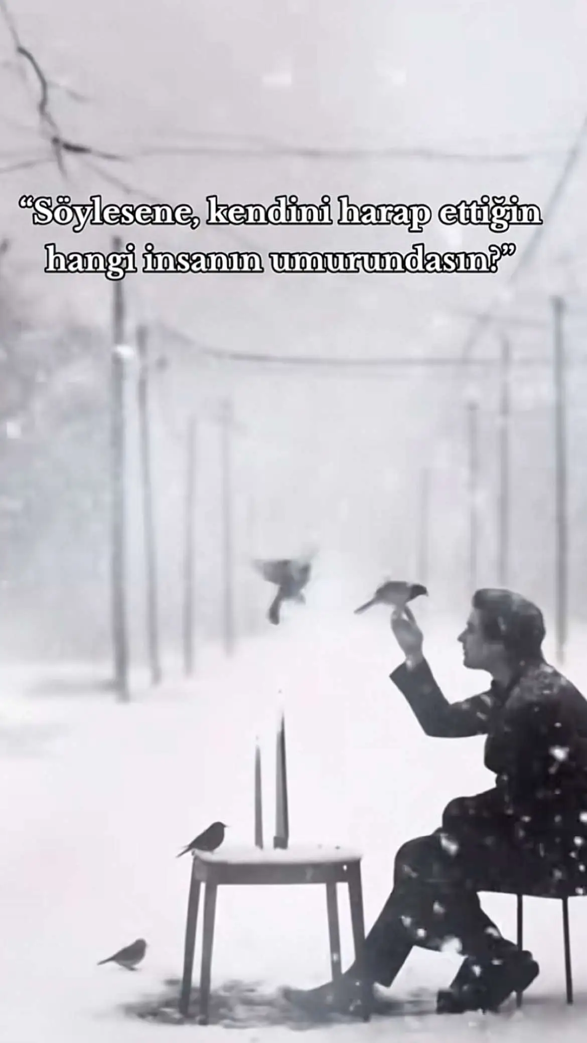 #keşfet #keşfetteyizzz #keşfetbeniöneçıkar #keepsupporting #keepsupporting #foryou 