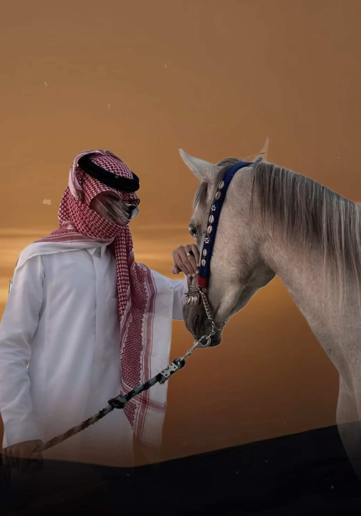 ما أخاوي إلَّا كبار القوم #شيلات #ترند #CapCut #اكسبلور 