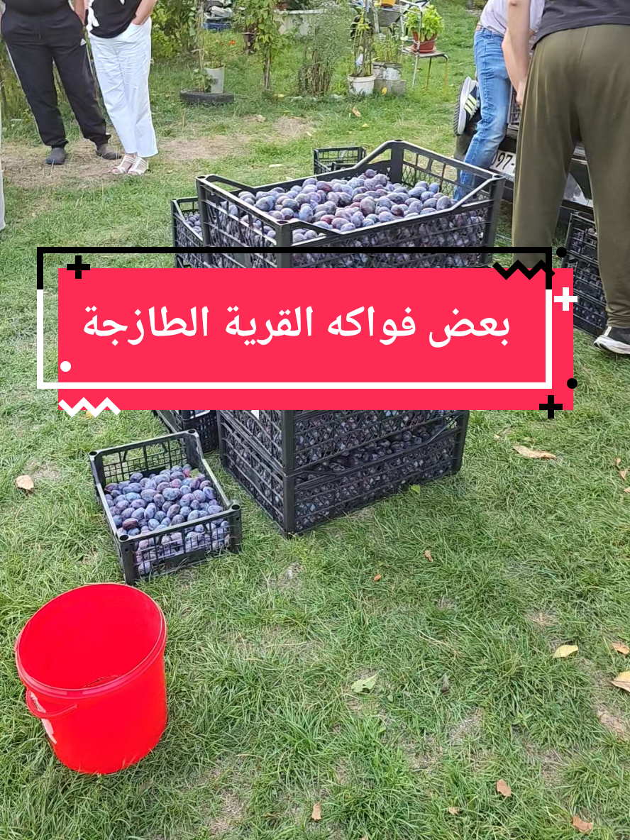 #الرياض #السعودية #اكسبلورexplore #مرشد_أسامة #البوسنة_والهرسك 