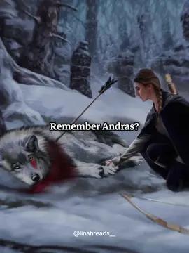 A totem of remembrance when she fights for what she cares for the most. An honor, where honor is earned and forever ought to be remembered. This one is for you Andras. Savior of Prythian. The one who gave them all a chance🐺🩶 . . . #andrasacotar #acotar #acourtofthornsandroses #feyrearcheron #feyre 