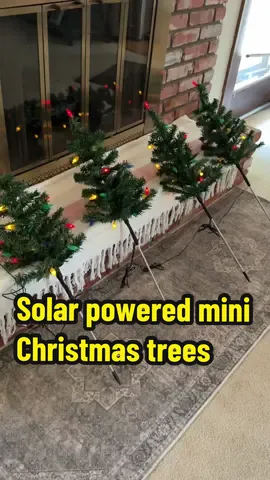 4-in-1 Aurora Haven Outdoor LED Light (with 80 strawberry decorations) - Spring-themed colorful garden passage light, suitable for courtyards, lawns and holiday activities, featuring a waterproof design. These solar-powered LED trees are the easiest way to decorate your yard for Christmas — no cords, no plugs, no timers. Just stake them in the ground, and let the solar panel bring them to life every night! Perfect for lawns, courtyards, garden paths, or driveways — and each tree is decked out with retro-style strawberry bulbs that glow in full color. They’re waterproof, wire-free, and on special offer right now. #christmasdecor #solarchristmaslights #solarlights #christmas2025 #christmaslights 