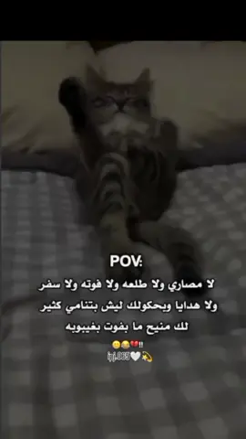 لا مصاري ولا طلعه ولا فوته #شعب_الصيني_ماله_حل😂😂 #تفاعلوا_فولوا_لایگات_گومنتات #fyppppppppppppppppppppppp 