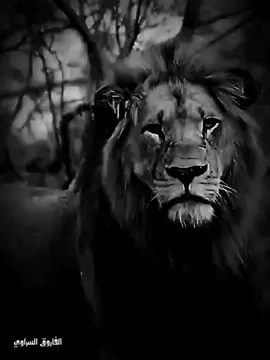 خشنوا ابناءكم @الفاروق السراوي @الفاروق السراوي @الفاروق السراوي 