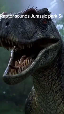 #jp3 #raptor raptorsounds