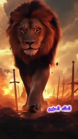 #الشاب_نصرو ملك الأغنية العاطفية