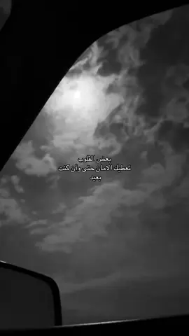 وينن بتروح 
