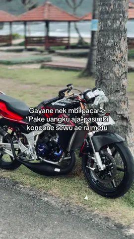 Gek opooo🫵🏻#ninjass #twostroke #fyp 