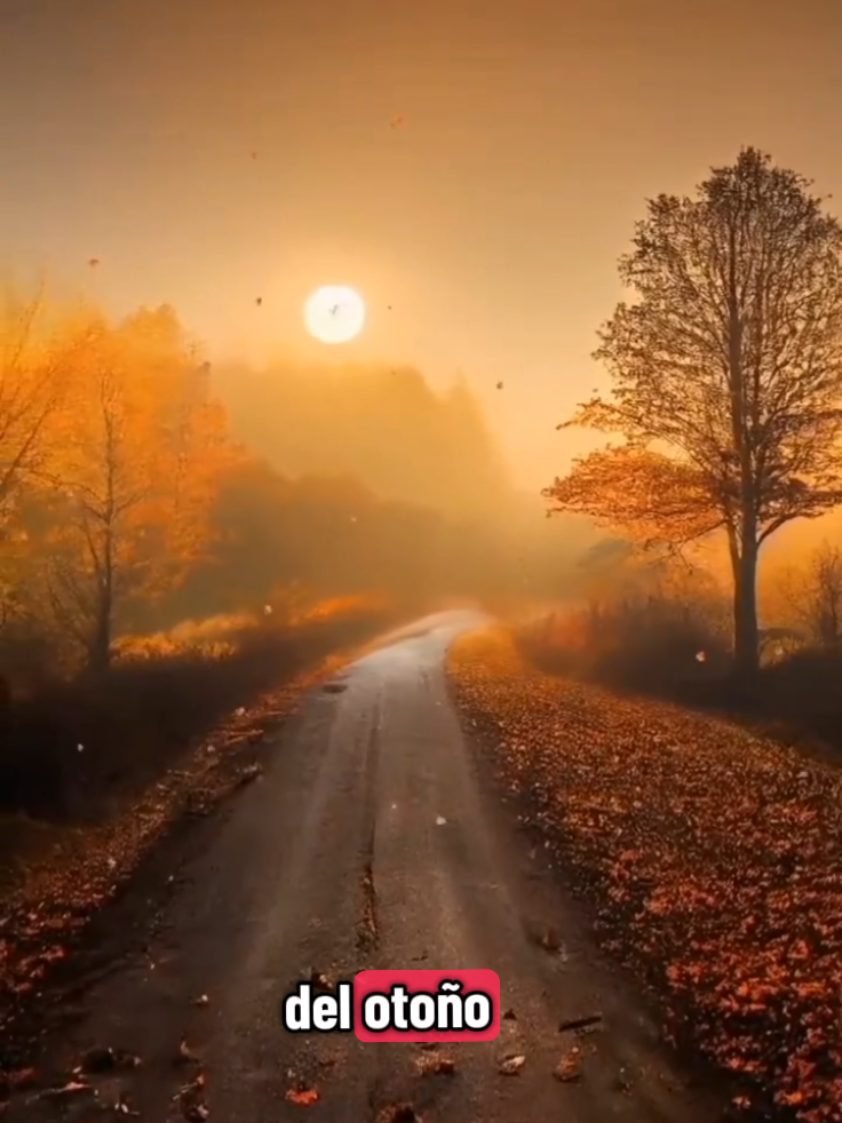 #balada #perales #80-90 #parati #romantico 