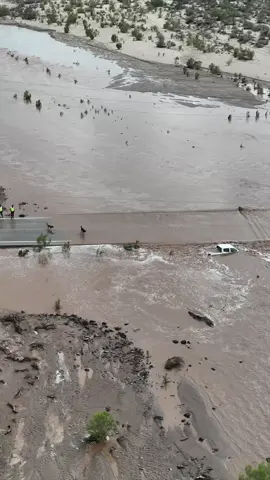 Casi no la cuenta el firulais