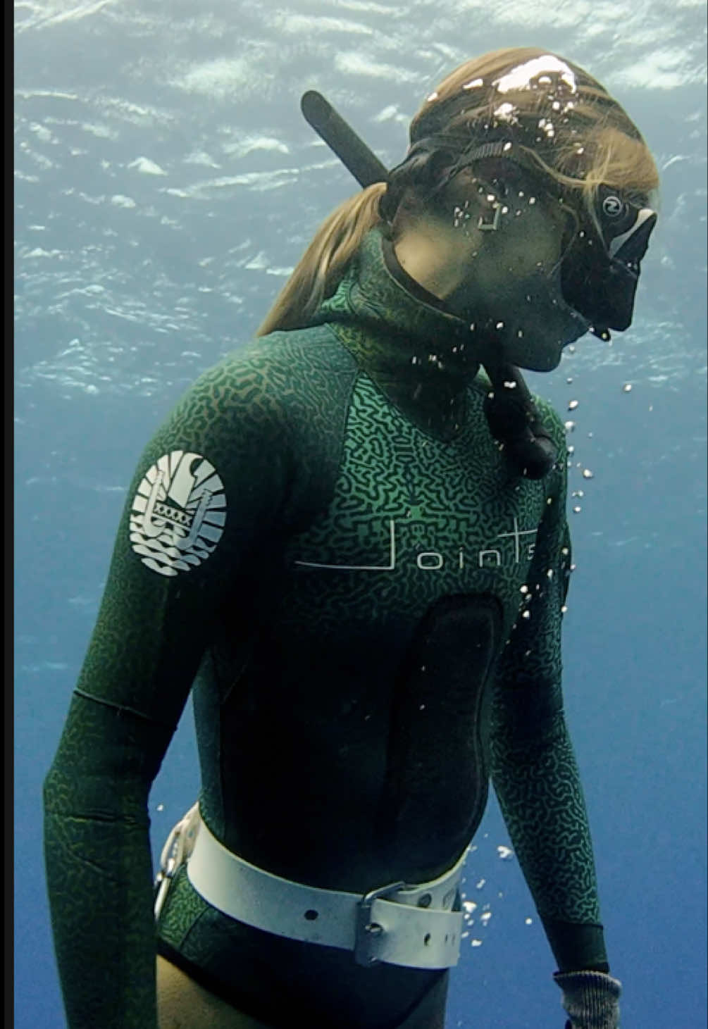 glimpse of French Polynesia under the surface 🩵