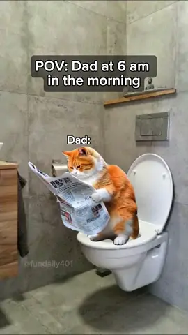 Dad at 6 am in the morning #catsoftiktok #catmeme #relatable 