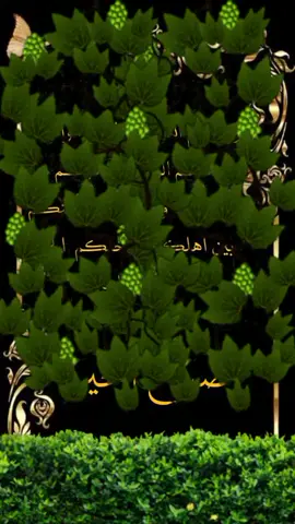 #صباح_الخير #🤲🤲 #🌹🌹🕊️🕊️  #ياالله_ارحمنا_برحمتك_ياارحم_الرحمين 