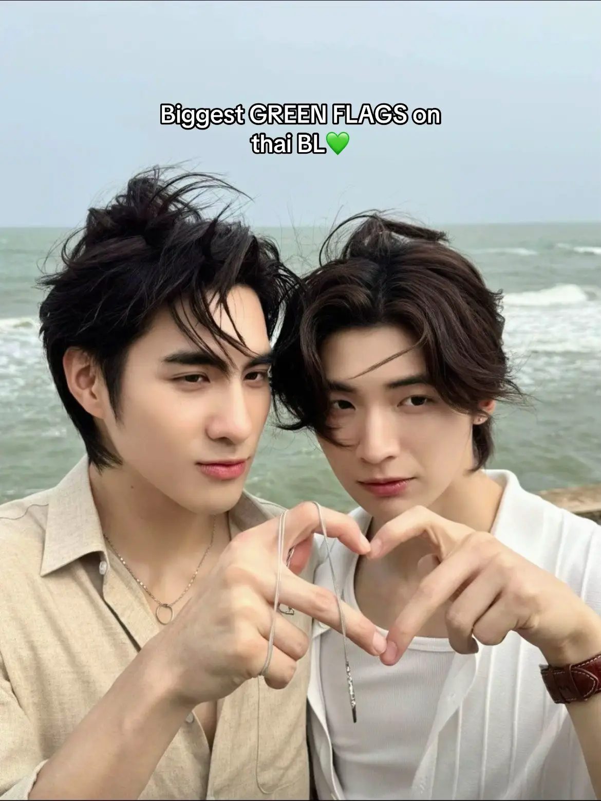 #blseriesthai #gmmtv #blseries #kinnporschetheseries #theoryoflove 
