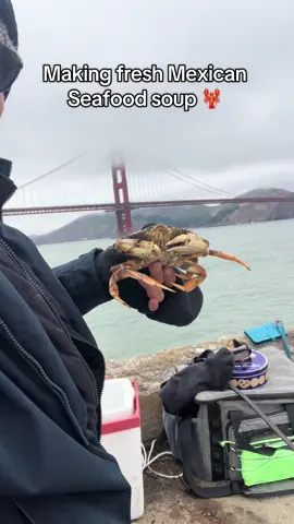 Me fui a la bahía de #sanfrancisco a agarrar cangrejos 