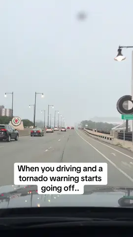 ‼️Well Worcester MA..we about to be in the Wizard of Oz‼️ #fyp #worcester #tornado 