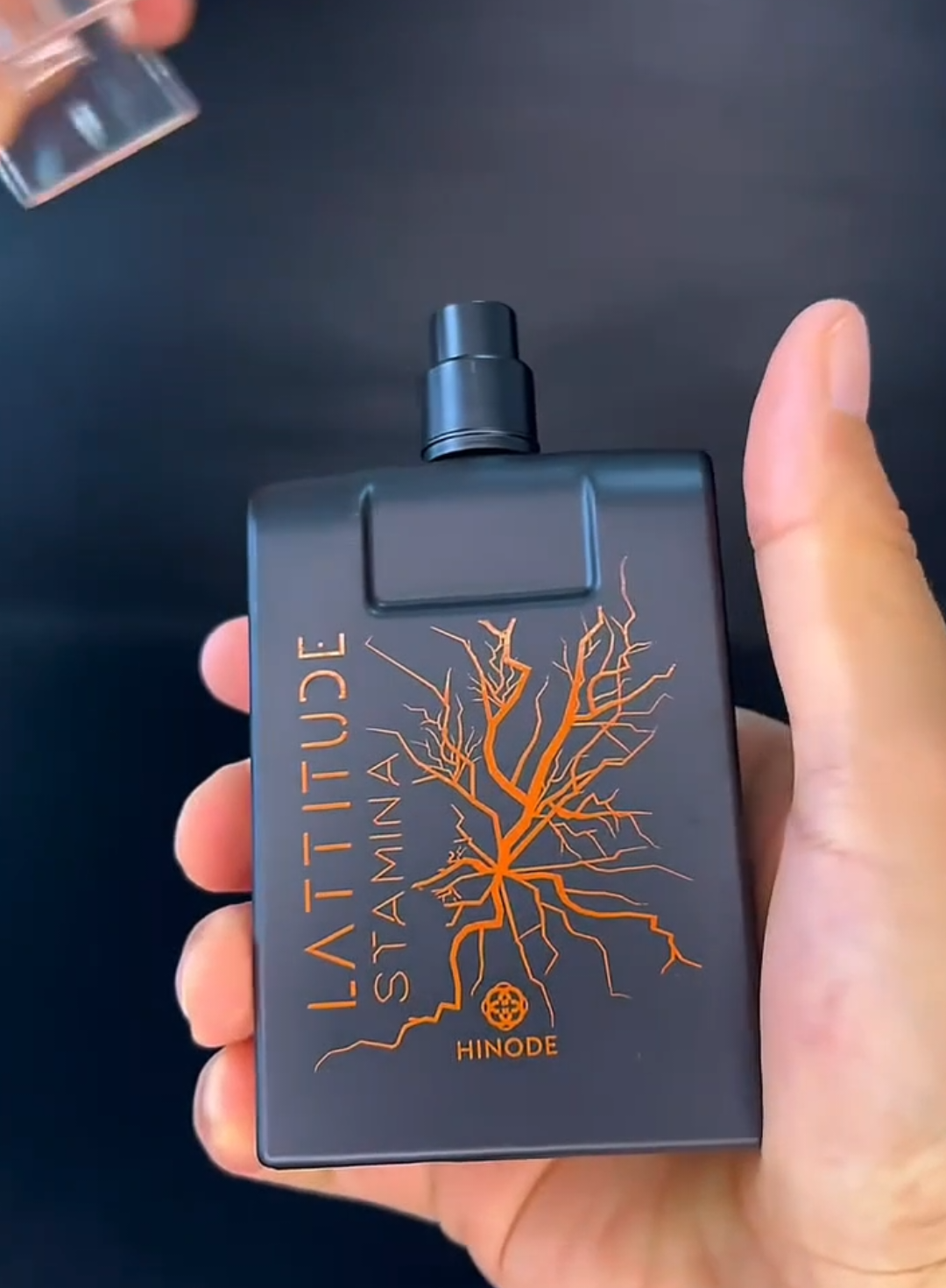 FRAGANCIA LATTITUDE STAMINA -Amaderada Envolvente ✅ Con notas de mandarina verde, flor de naranja,  geranio, jasmin, cedro, vainilla. Presentación disponible en 100ml Encios a nivel nacional 🚛🇵🇪 Más info al wsp📲 :902582097 #esencia #fragancias #lattitude #perfumetiktok #madera 