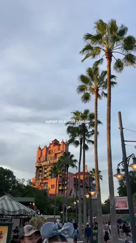 starting to be obsessed with this park 