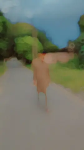 #CapCut 