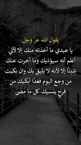 #اكسبلورexplore #عبارات 