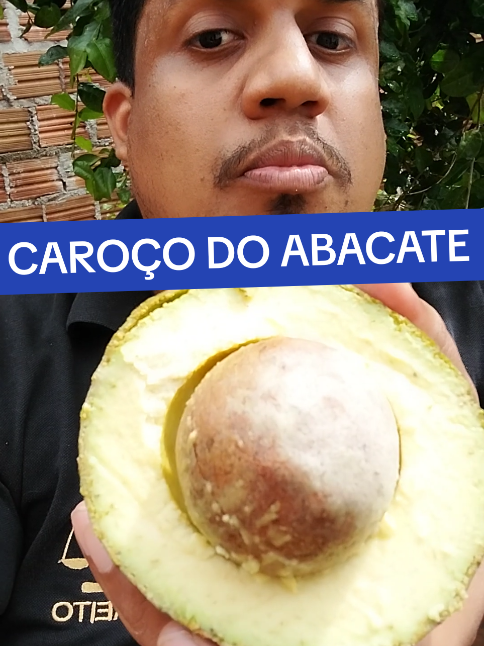CAROÇO DO ABACATE  #remedioscaseros #receitas #foyour #remédionatural 