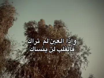 #شعر_عراقي #fyp 
