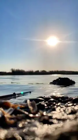 #zxycba #ذكريات #كريم_منصور_طغيت_وبعدني_ليله_بردان 