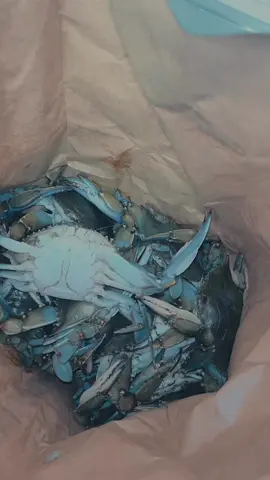 rainy saturday ☺️#seafood #crabpot #fypage 