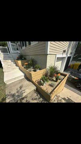 #fallplanting 