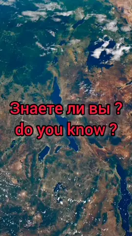 #animal #nature #africa #природа #развитие 