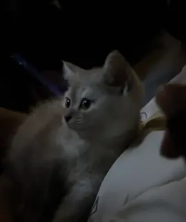 может быть, я чувствую себя опустощенной, потому что оставила частичку себя во всем, что когда-то  любила..) #💔#рекомендации #for #الأصدقاء #ش 