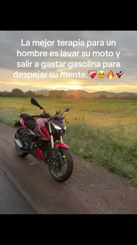 Salir a rodar cura el alma.❤️‍🩹#pulsarn250 #viral #fpy #motos #pulsar #logros #exito 