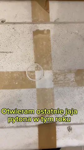 Ostatnie jaja tego roku