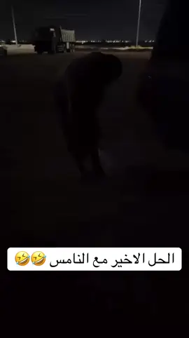 #حائل 
