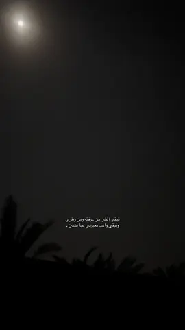 تبقى أغلى من عرفته ومن وطرى . #بندر_بن_عوير #قمرا #فديو #fyp #اكسبلورexplore #شيله 