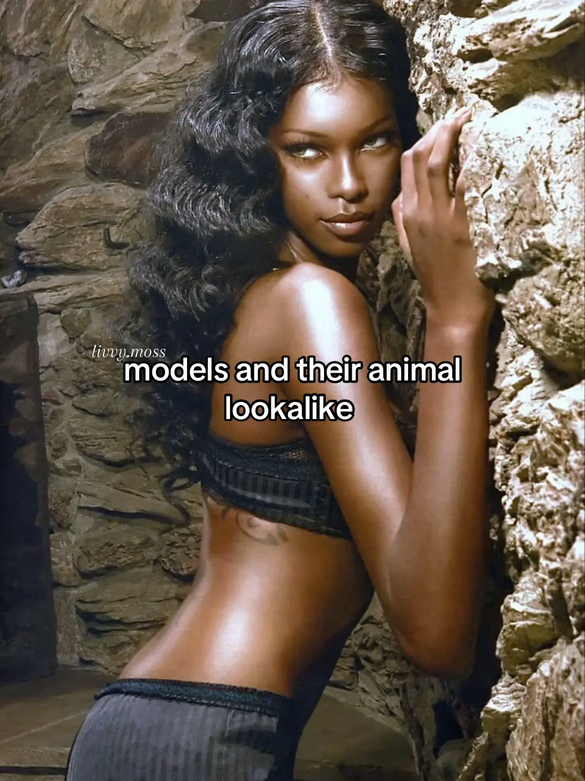 🐈‍⬛ || they’re beautifull xx #blowthisup #models #goviral #xcyzba #xcyzba 