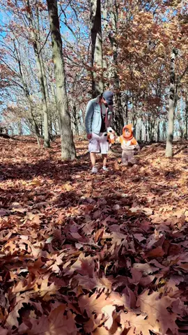 El rol de un padre es fundamental para el desarrollo integral de un niño. #dadsoftiktok #toddlerdad #dadsboy #elpapá #papadeniños 