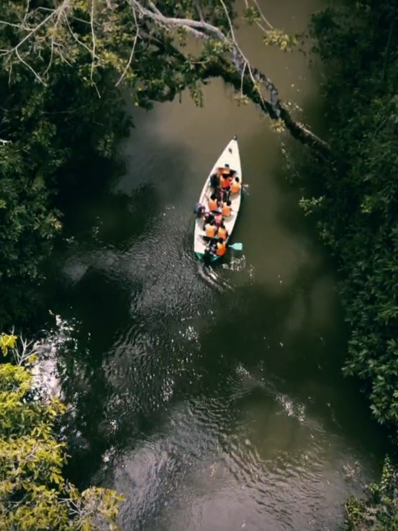 Éstos son los lugares más impresionantes que he disfrutado en la selva del Alto Mayo en la región San Martín 🇵🇪  #cataratas #aventura #montañas #filmaker #drone 