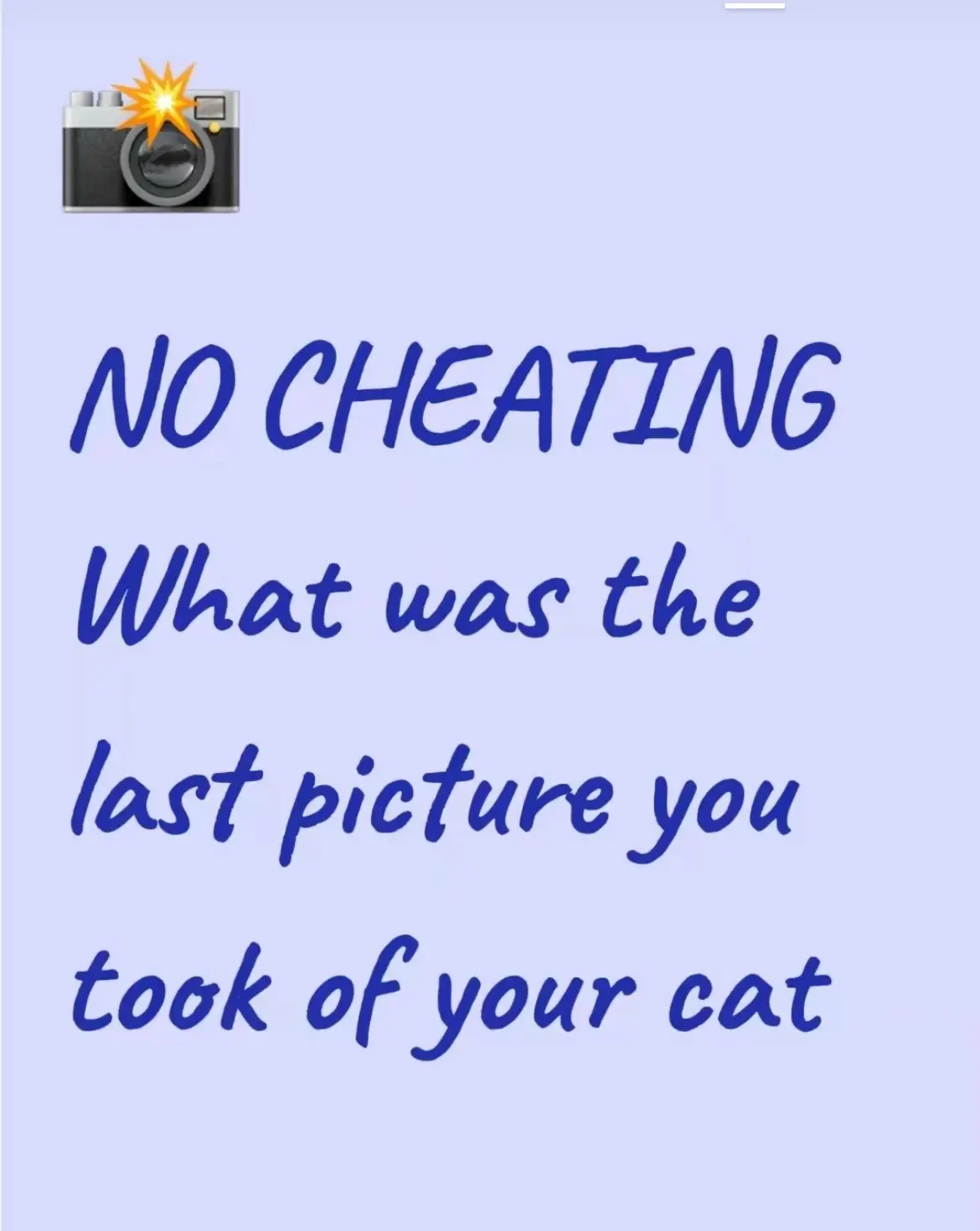 I like cats.  . . #webcore #nostalgia #cats #liminal