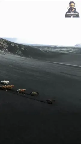 @Salah Ourigua #تحفيز #motivation #motivazione #التفكير_الإيجابي #wisdom 