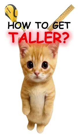 How to get Taller? #fyp #life #posture #howtotiktok #tall 