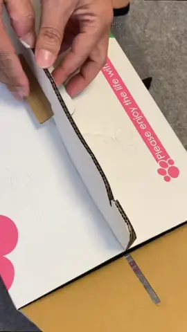 𝐐𝐮𝐚𝐥𝐢𝐭𝐲 🏆✨🧬 •𝐎𝐮𝐭𝐬𝐭𝐚𝐧𝐝𝐢𝐧𝐠 𝐏𝐞𝐝𝐢𝐠𝐫𝐞𝐞✨ •𝐇𝐞𝐚𝐥𝐭𝐡 𝐓𝐞𝐬𝐭𝐞𝐝✨ •𝐒𝐭𝐫𝐮𝐜𝐭𝐮𝐫𝐞,𝐂𝐨𝐚𝐭&𝐂𝐨𝐥𝐨𝐮𝐫✨ • 𝐂𝐡𝐚𝐦𝐩𝐢𝐨𝐧🏆#poodle #poodlesoftiktok #poodles #poodles #poodlepuppies 