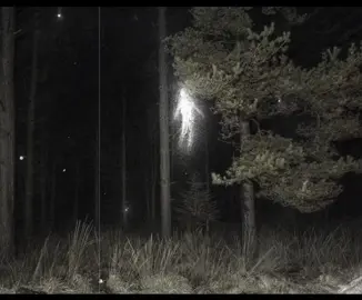 cas #csa #song #edit #explore #fyp 