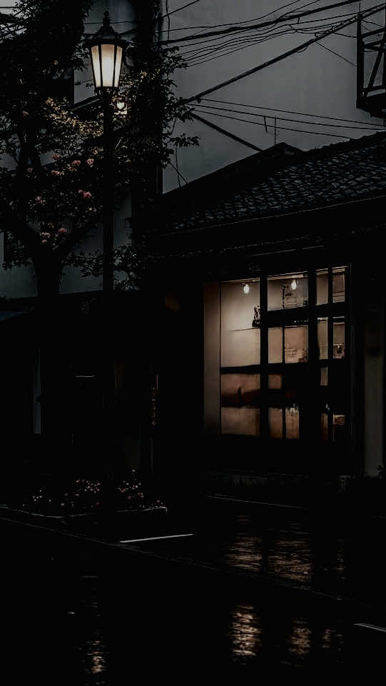 Chào em cô gái năm xưa #sbtentertainment #fyp #nhactamtrang #nhachaymoingay #CapCut 