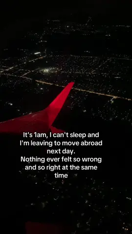 #movingabroad #flight #travel #manifesting #biggestfear 
