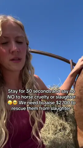 Stay for 30 seconds and say no NO to horse cruelty or slaughter🥲🥹.We need to raise $2700 to rescue them from slaughter #fyp #viral #goviral #horses #newyork 