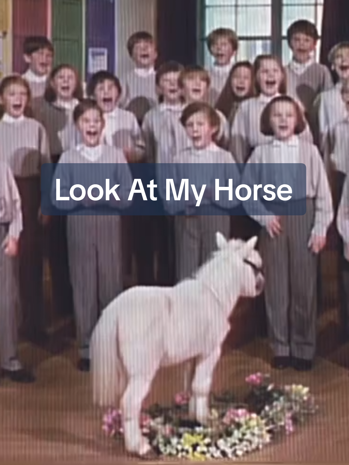 Look at my #horse #school #choir #80skid #80smusic 
