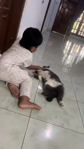 Bangun tidur ku terus……. Klumbrak-klumbruk. #morning #kucinglucu #catlover #morningvibes #fypkucing 