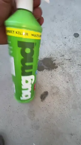 🐞🪲🪳🐜 BugMD Essential pest control is now on the TikTok shop! Get a single spray bottle now for only $22 + shipping exclusively on TikTok shop! #pestcontrol #bugspray #petsafe #homesupplies #BugMD ( no claims are being made here , do your own research , consult a physician before making any major lifestyles , not meant to diagnose or treat any disease , for entertainment purposes only )