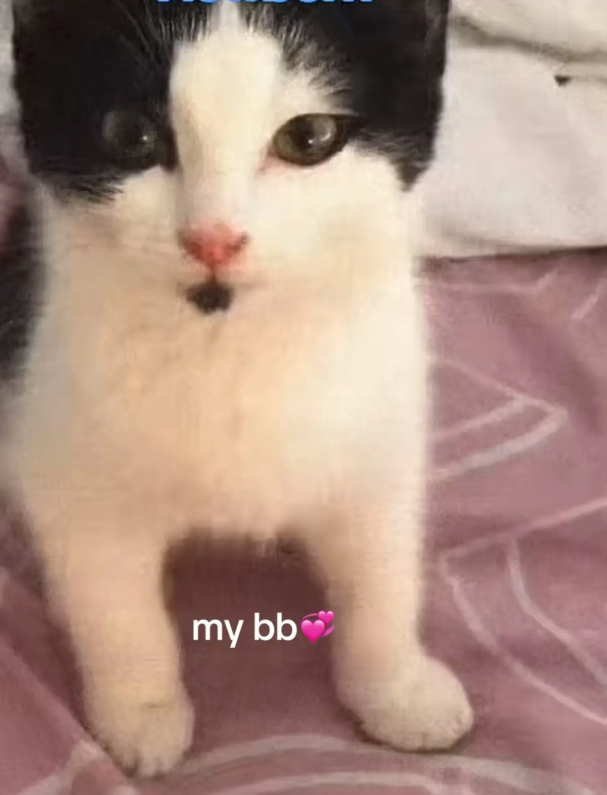 #fyp #pleasecomehome